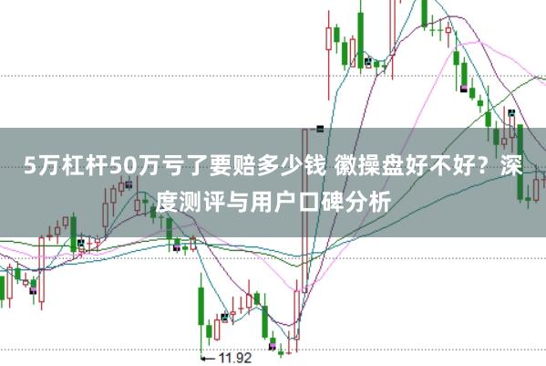 5万杠杆50万亏了要赔多少钱 徽操盘好不好？深度测评与用户口碑分析