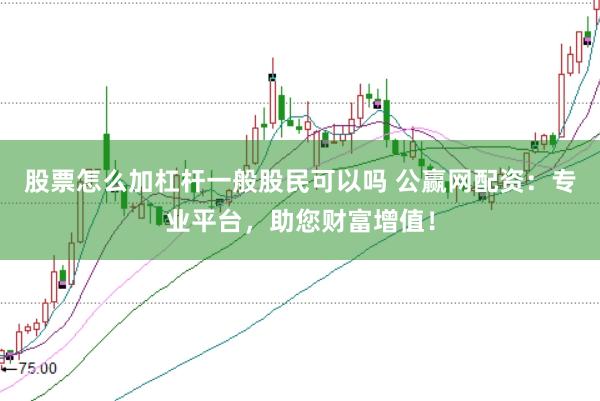 股票怎么加杠杆一般股民可以吗 公赢网配资：专业平台，助您财富增值！