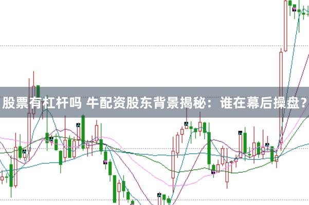 股票有杠杆吗 牛配资股东背景揭秘：谁在幕后操盘？