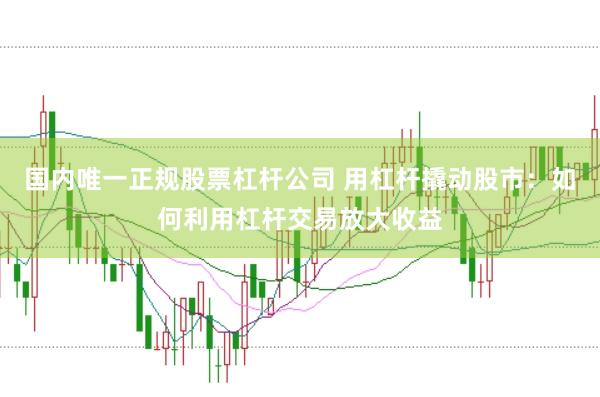 国内唯一正规股票杠杆公司 用杠杆撬动股市：如何利用杠杆交易放大收益