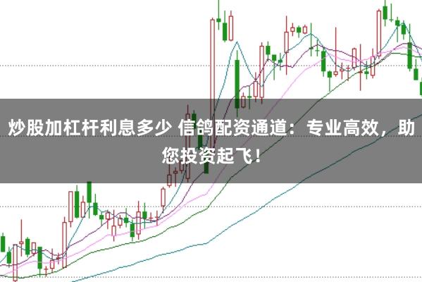 炒股加杠杆利息多少 信鸽配资通道：专业高效，助您投资起飞！