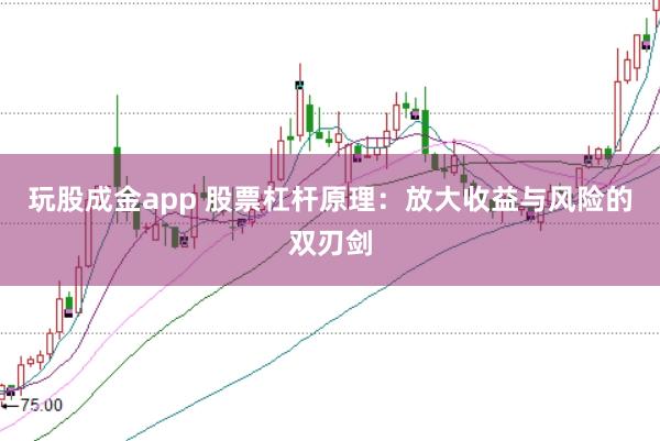 玩股成金app 股票杠杆原理：放大收益与风险的双刃剑