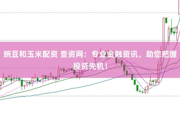 豌豆和玉米配资 壹资网：专业金融资讯，助您把握投资先机！