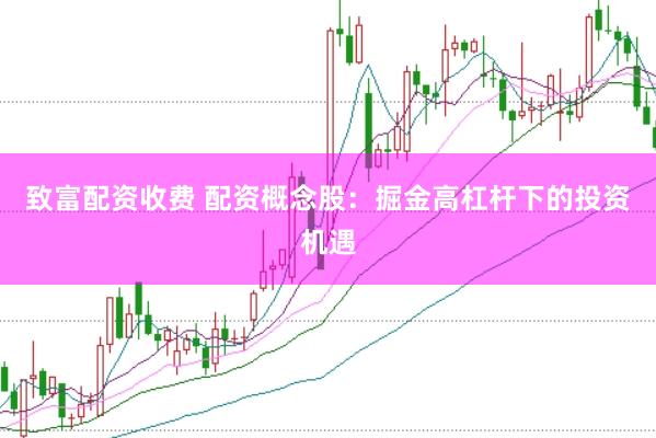 致富配资收费 配资概念股：掘金高杠杆下的投资机遇