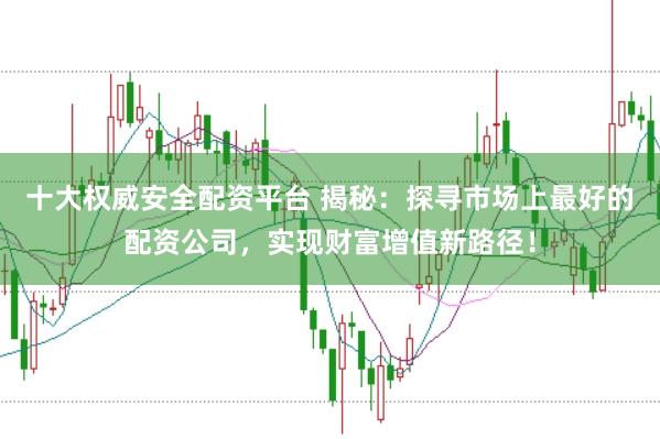 十大权威安全配资平台 揭秘：探寻市场上最好的配资公司，实现财富增值新路径！