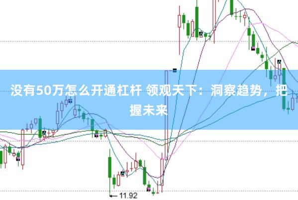 没有50万怎么开通杠杆 领观天下：洞察趋势，把握未来