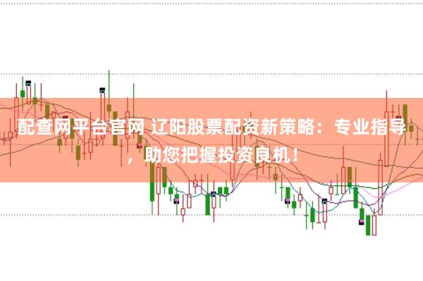 配查网平台官网 辽阳股票配资新策略：专业指导，助您把握投资良机！