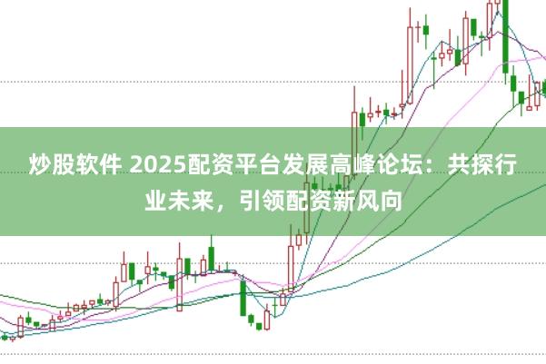 炒股软件 2025配资平台发展高峰论坛：共探行业未来，引领配资新风向