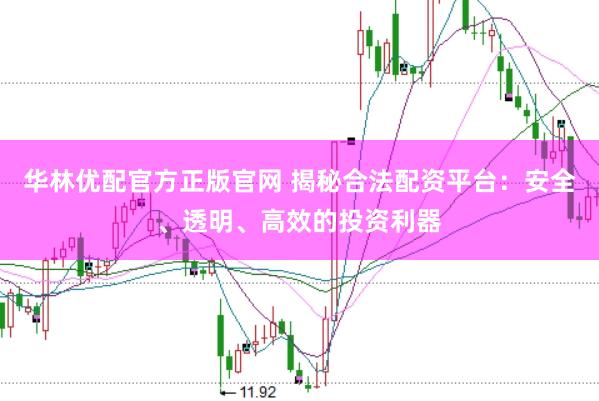 华林优配官方正版官网 揭秘合法配资平台：安全、透明、高效的投资利器