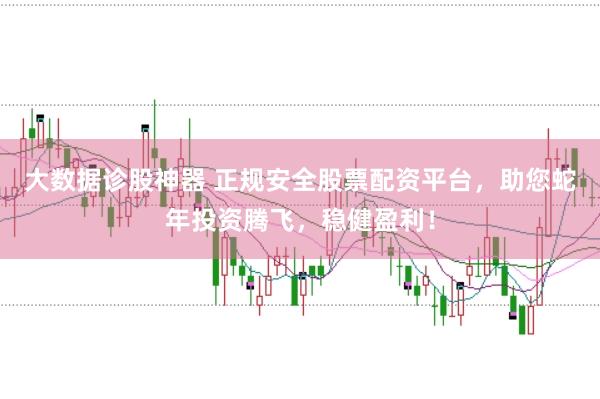 大数据诊股神器 正规安全股票配资平台，助您蛇年投资腾飞，稳健盈利！