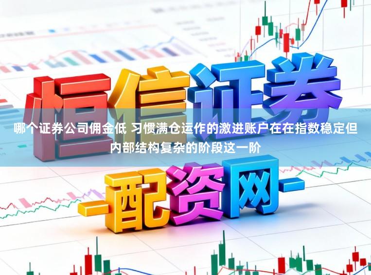 哪个证券公司佣金低 习惯满仓运作的激进账户在在指数稳定但内部结构复杂的阶段这一阶