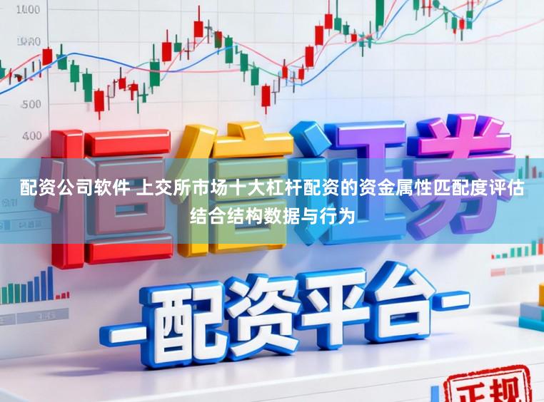 配资公司软件 上交所市场十大杠杆配资的资金属性匹配度评估结合结构数据与行为